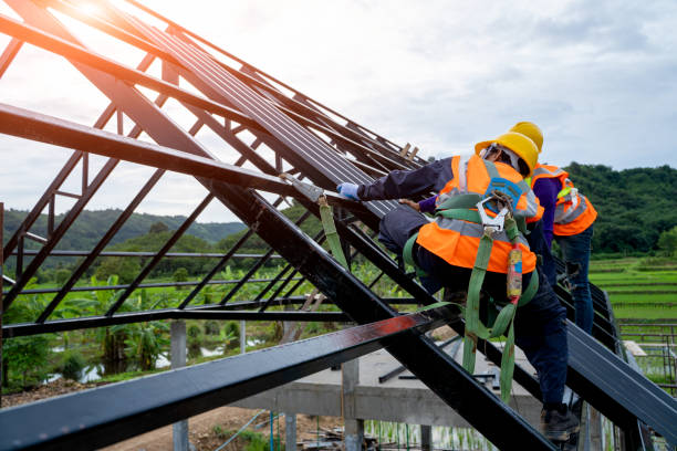Best Roof Gutter Cleaning  in Rio Grande, NJ